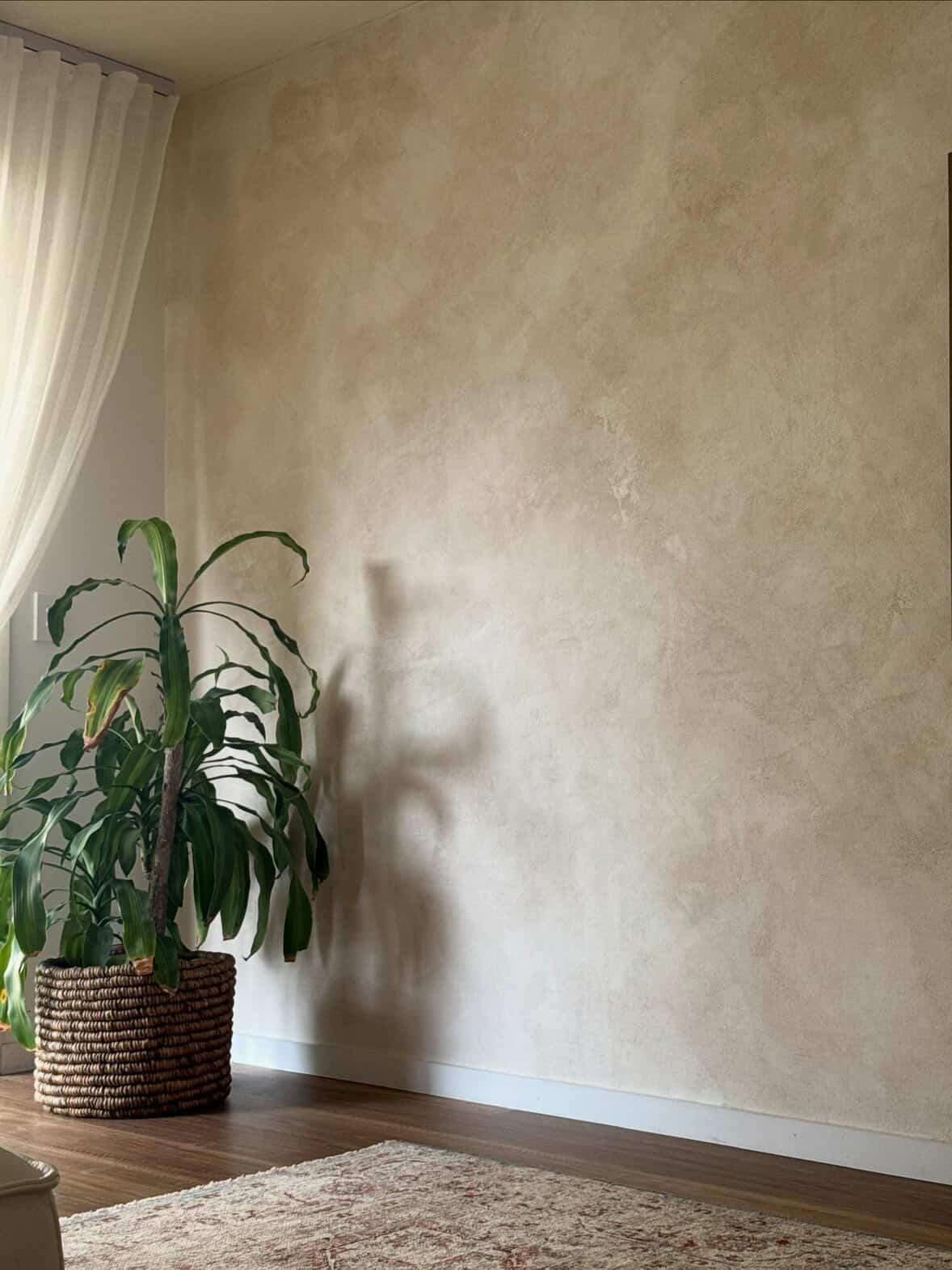 Venetian feature wall